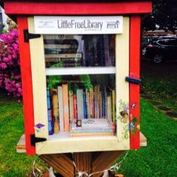 Books in a red box for sharing along Blue Ridge Parkway