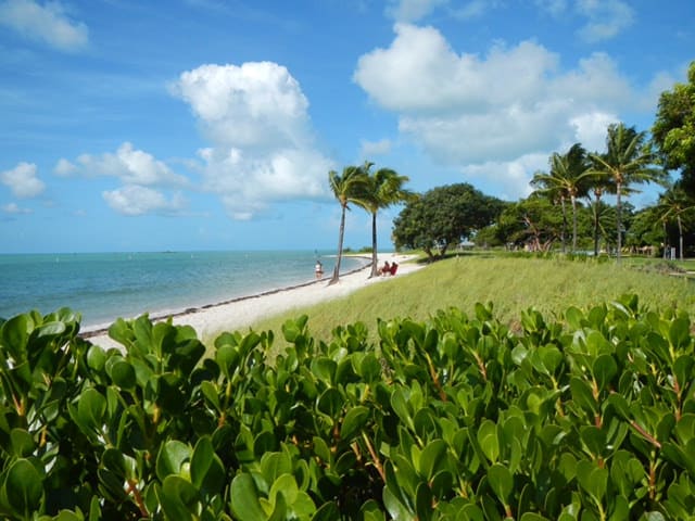 Trip Gallery Image 18