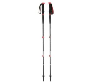 hiker gift guide trekking pole