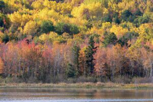 acadia national park in the fall