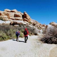 Trip Gallery Image 14