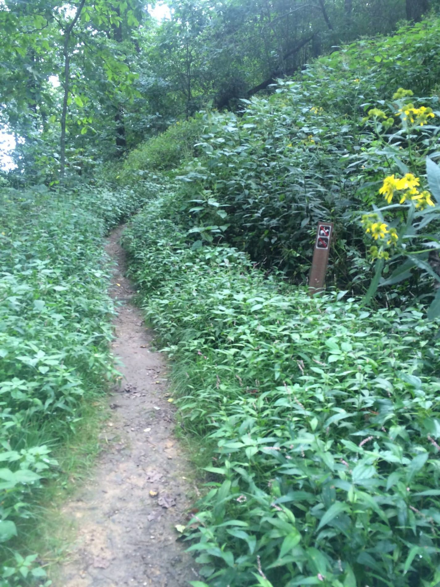 Trip Gallery Image 1