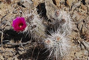 Trip Gallery Image 1