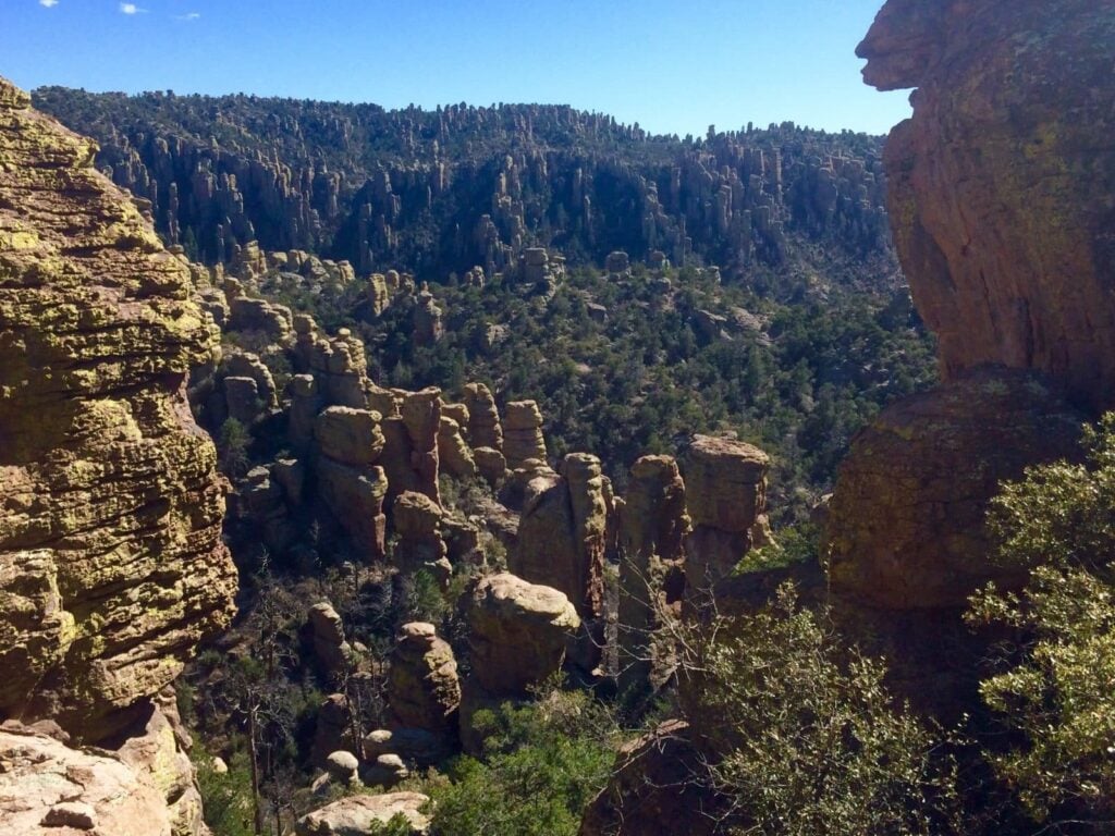 Chiricahua & The Sonoran Desert