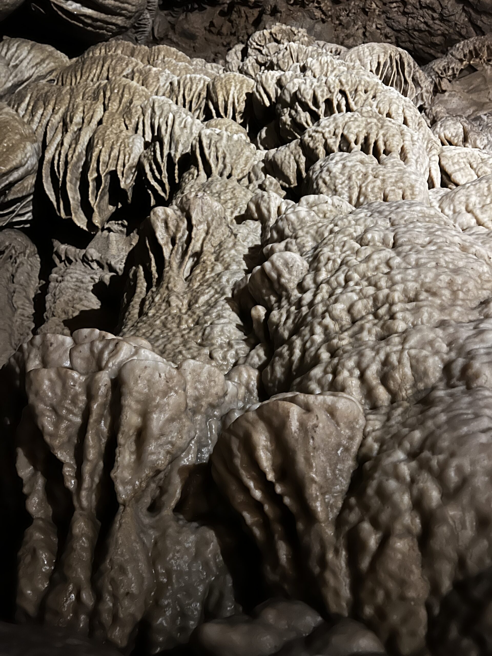 Trip Gallery Image 6