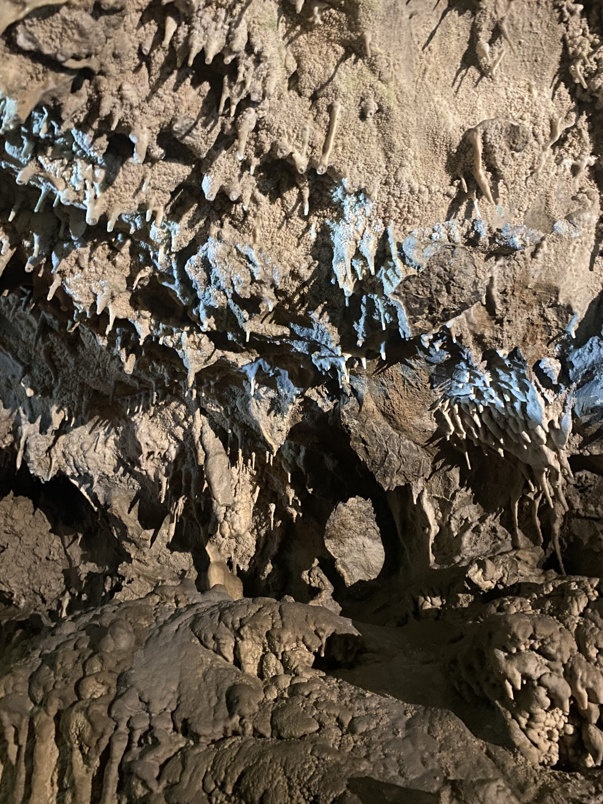 Trip Gallery Image 17