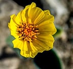 Trip Gallery Image 8