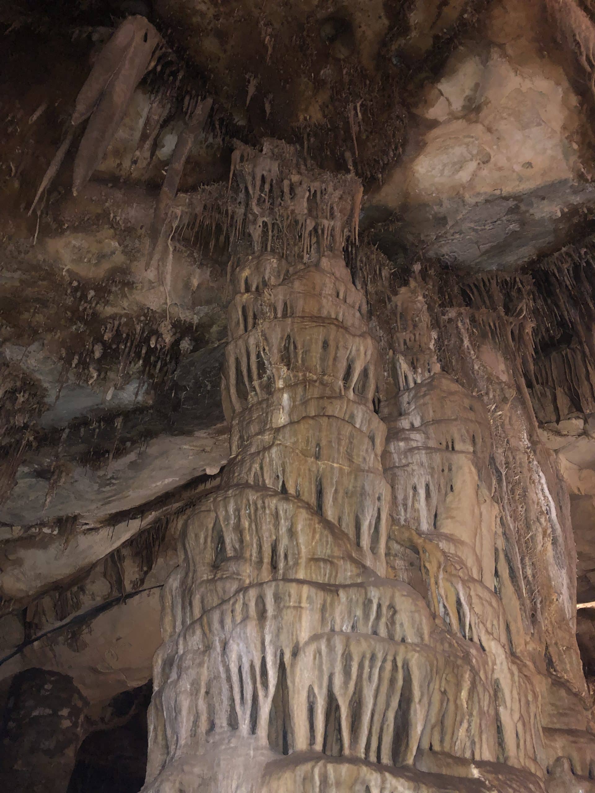 Trip Gallery Image 7
