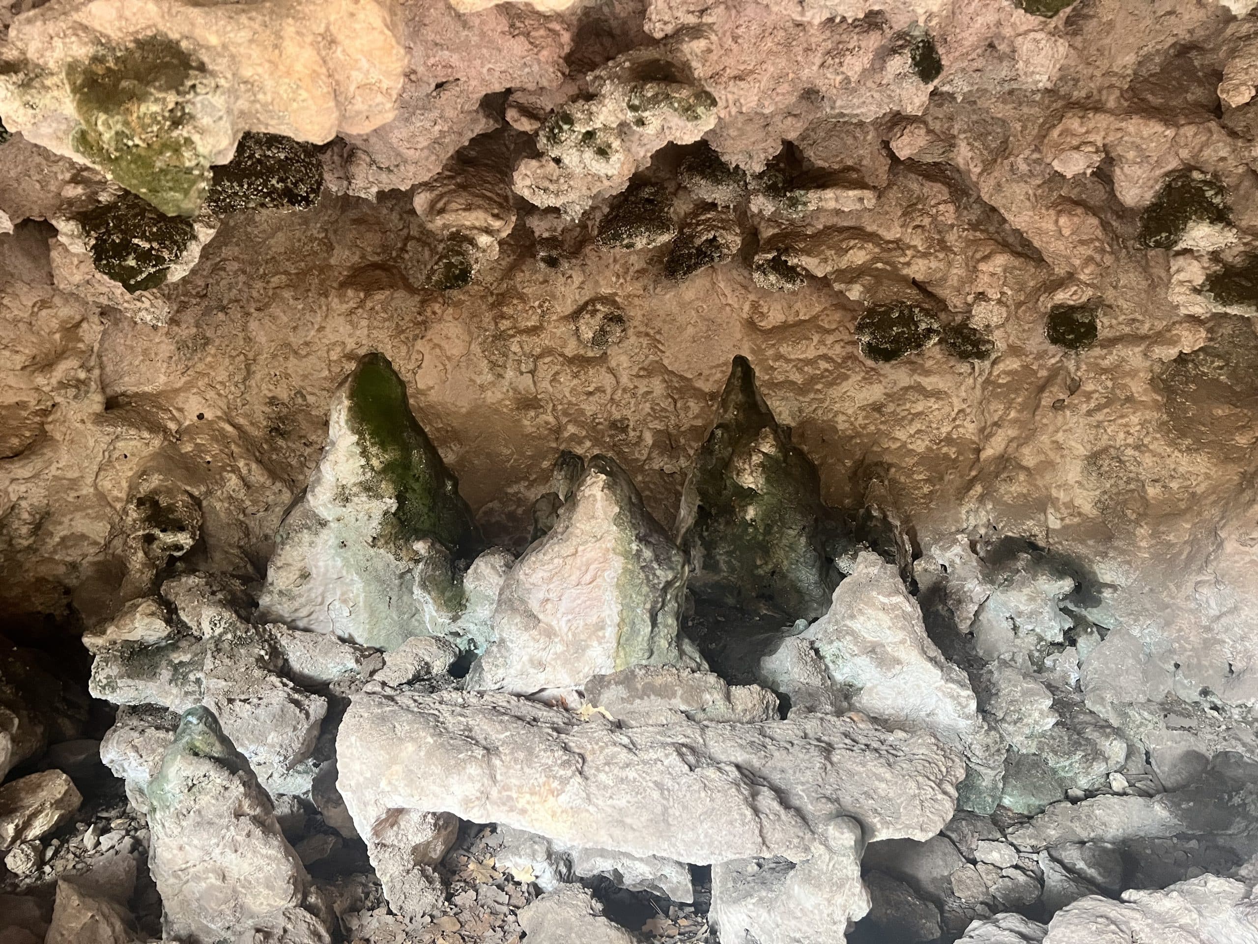 Trip Gallery Image 6