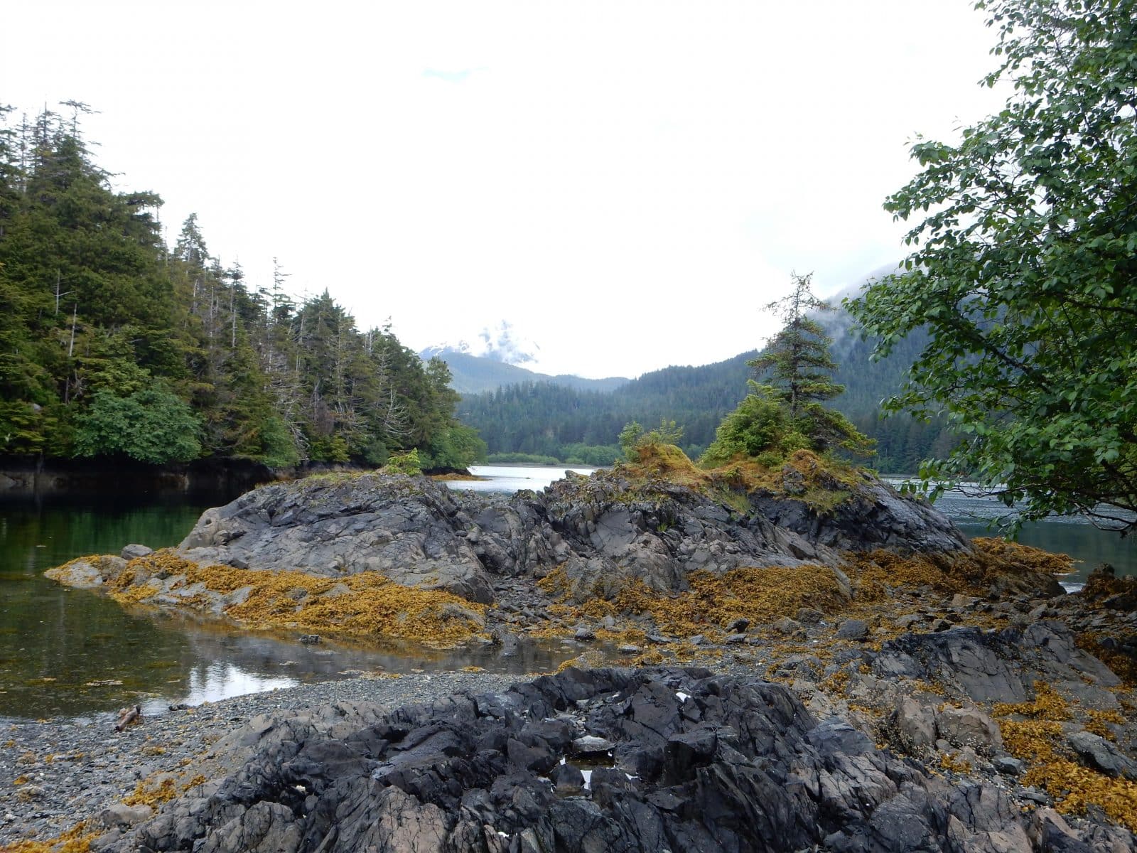 Trip Gallery Image 14