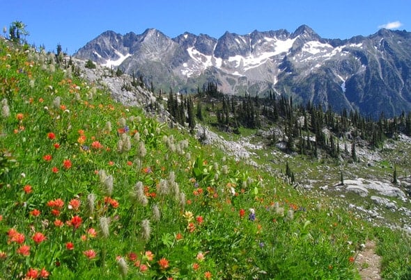 Mt. Revelstoke and Glacier National Parks, Canada