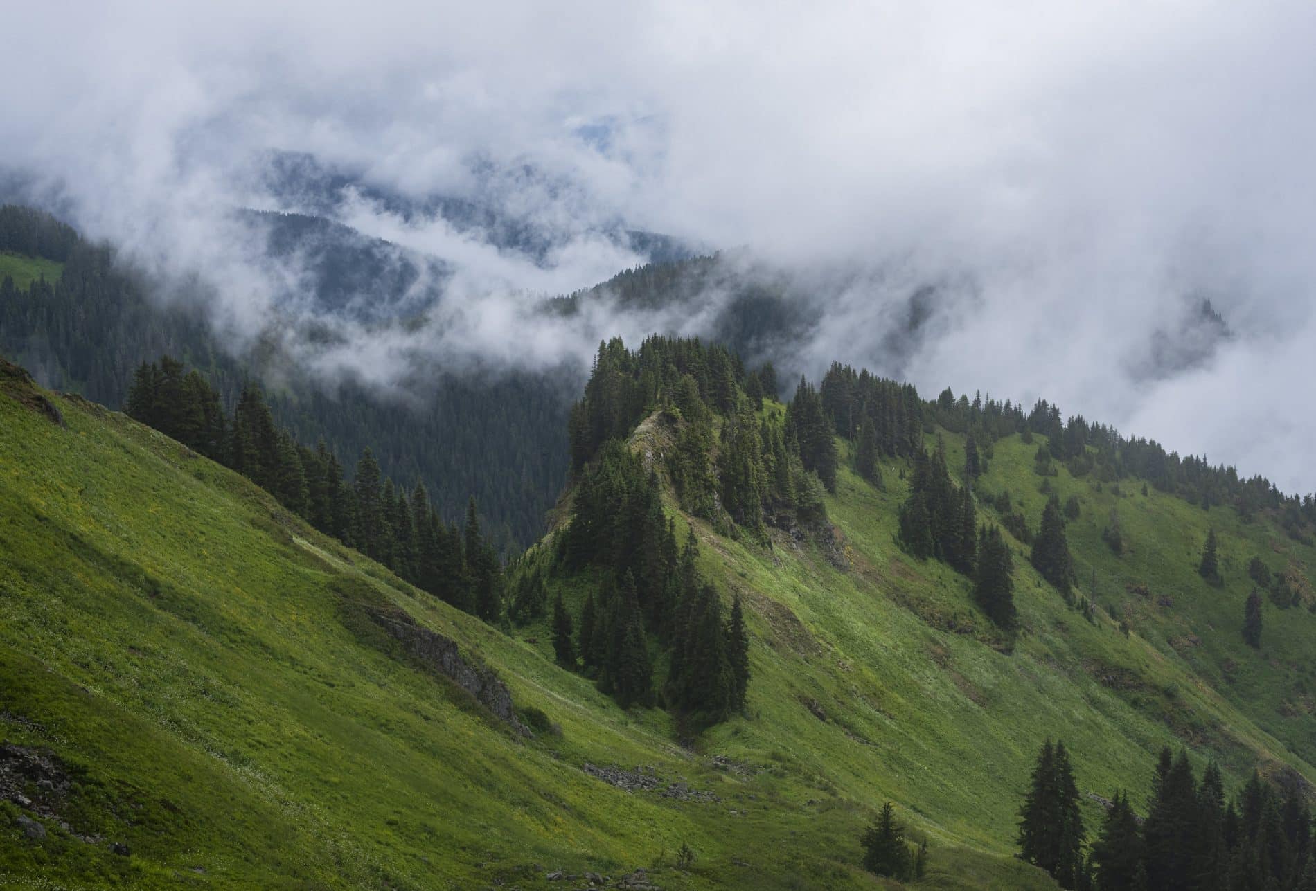 Trip Gallery Image 11