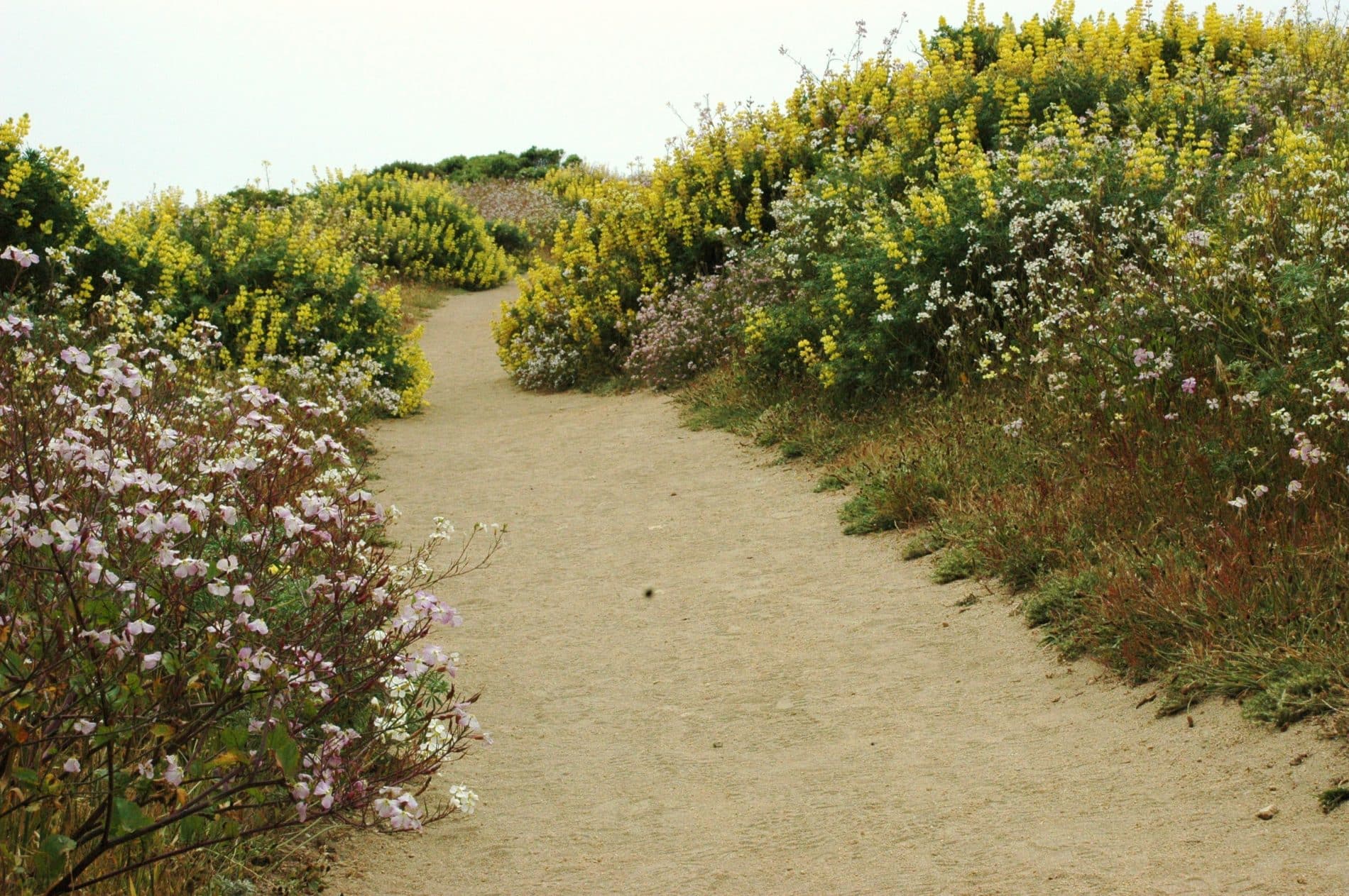 Trip Gallery Image 15
