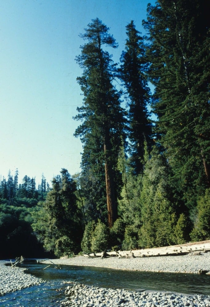 Trip Gallery Image 9