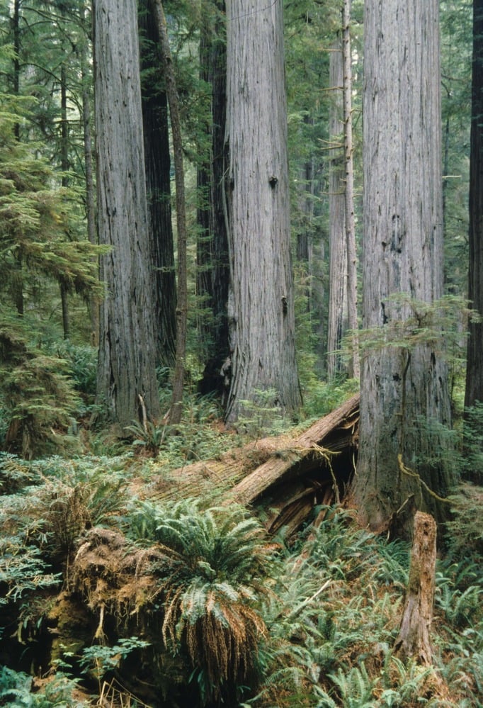 Trip Gallery Image 10