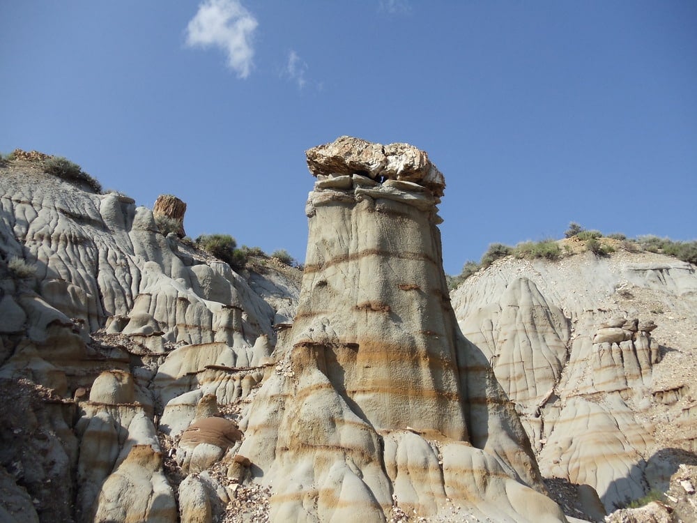 Trip Gallery Image 11