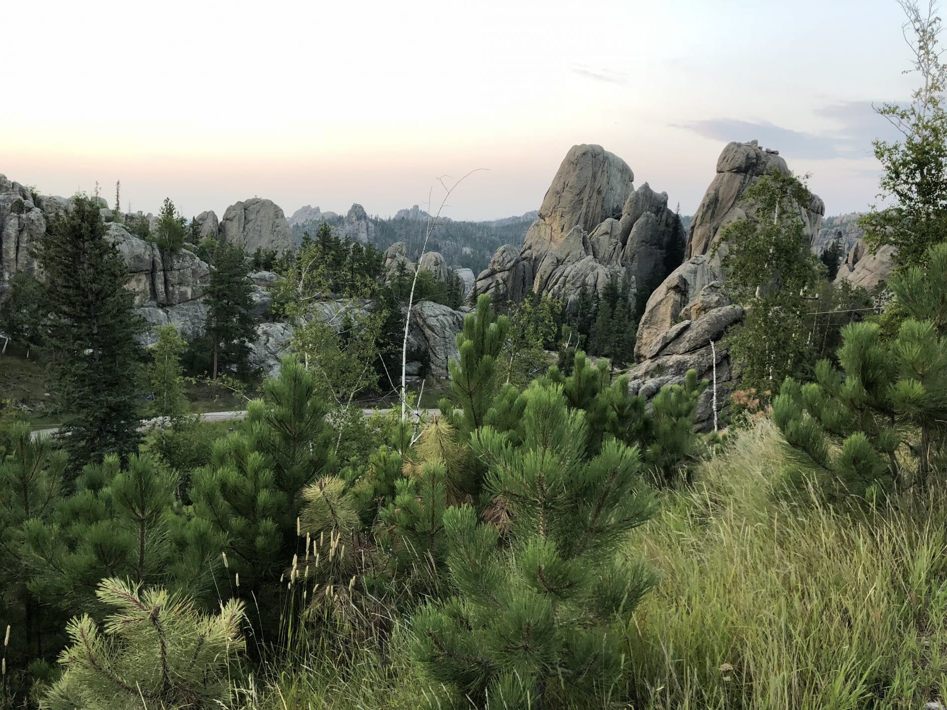 Trip Gallery Image 6
