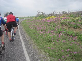 Trip Gallery Image 11