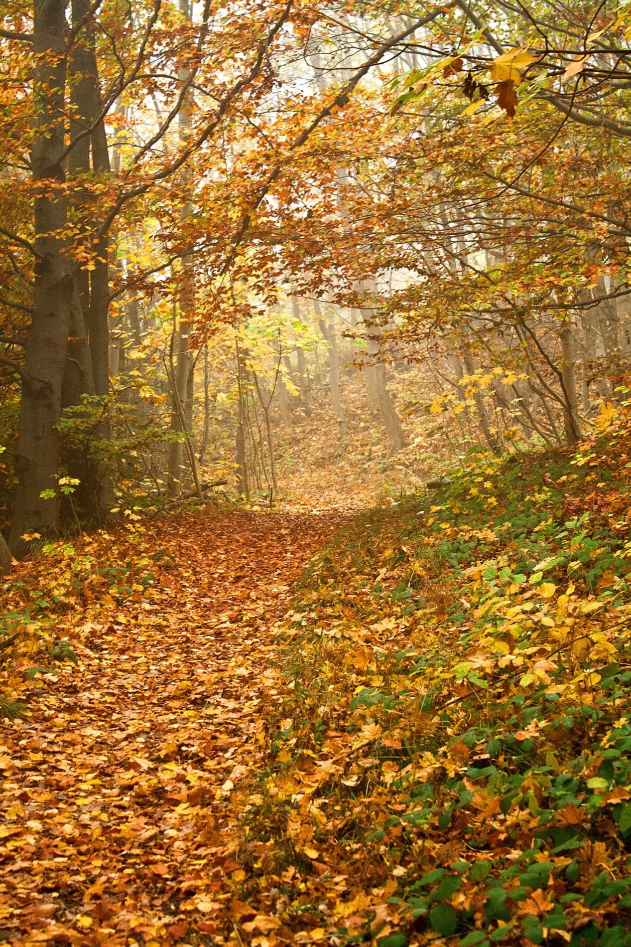 Trip Gallery Image 12