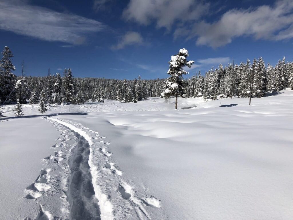 Snowshoeing Mammoth Tour at Yellowstone National Park