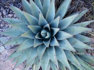 Trip Gallery Image 5