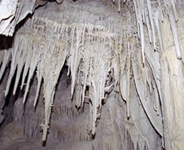 Trip Gallery Image 12