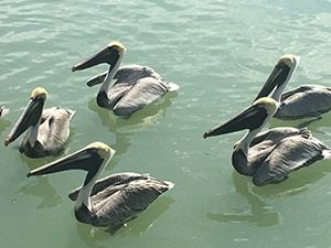 Trip Gallery Image 16