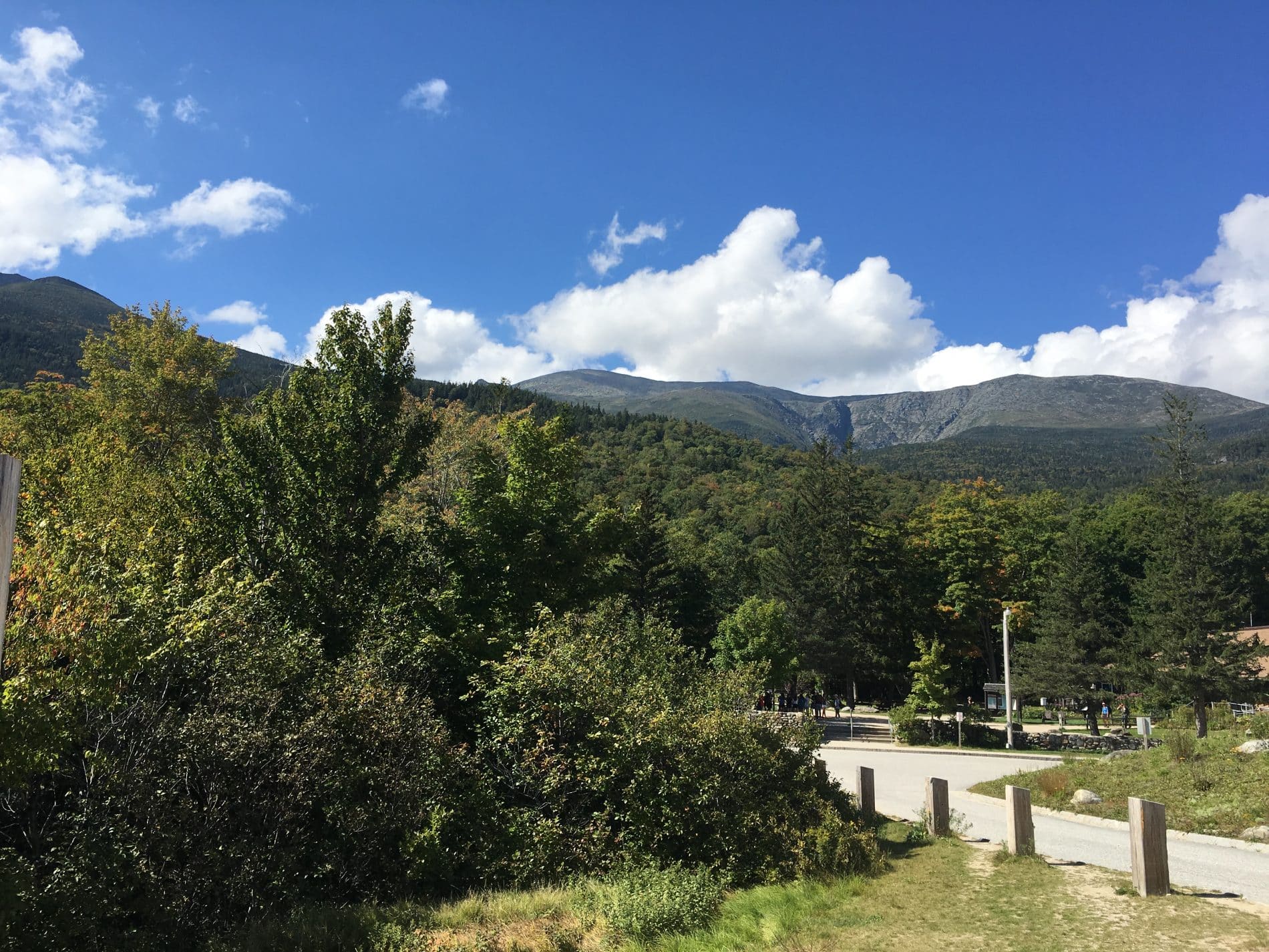 Trip Gallery Image 16