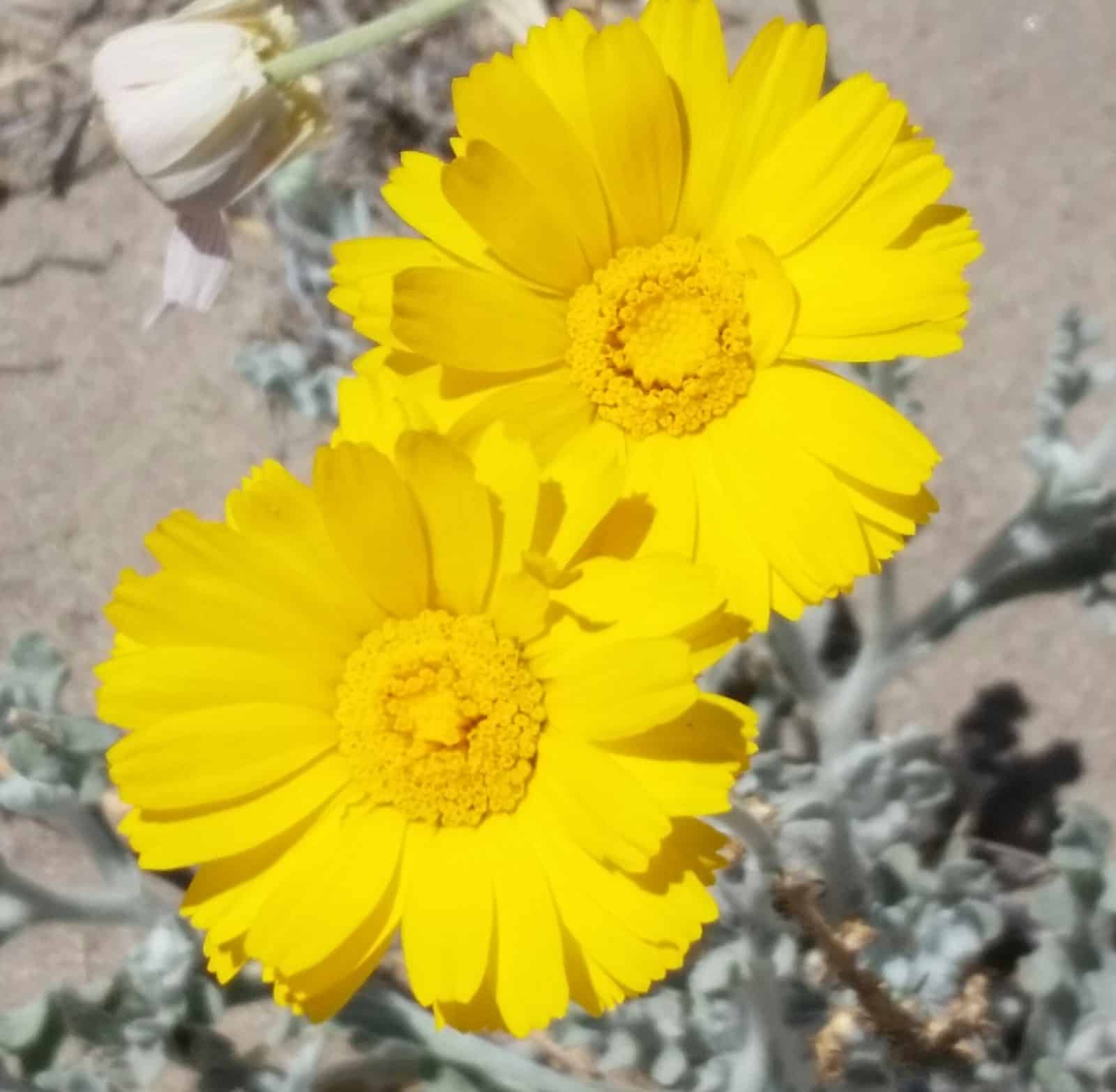 Trip Gallery Image 6