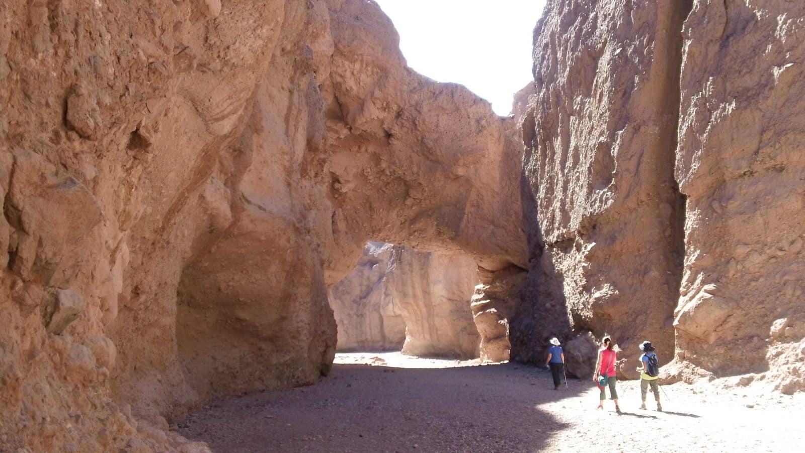 Trip Gallery Image 11