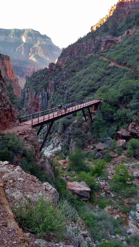 Trip Gallery Image 5