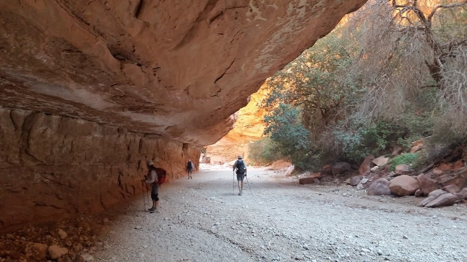 Trip Gallery Image 6