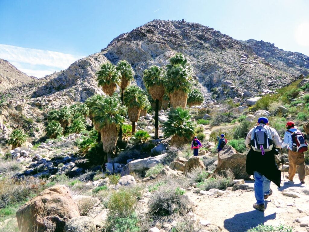 Guided Joshua Tree National Park Hiking Tour