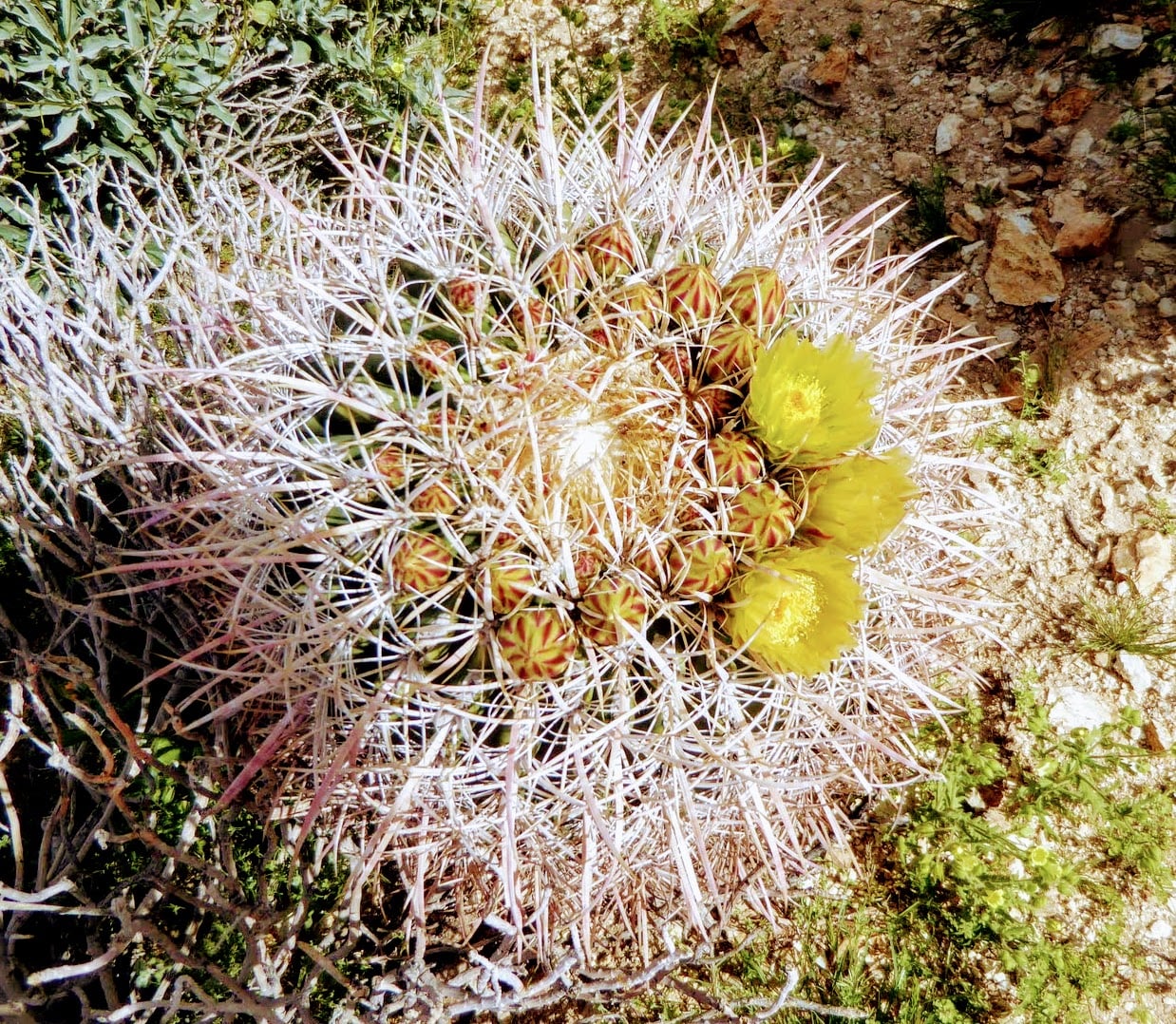 Trip Gallery Image 10