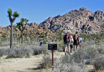 Trip Gallery Image 11
