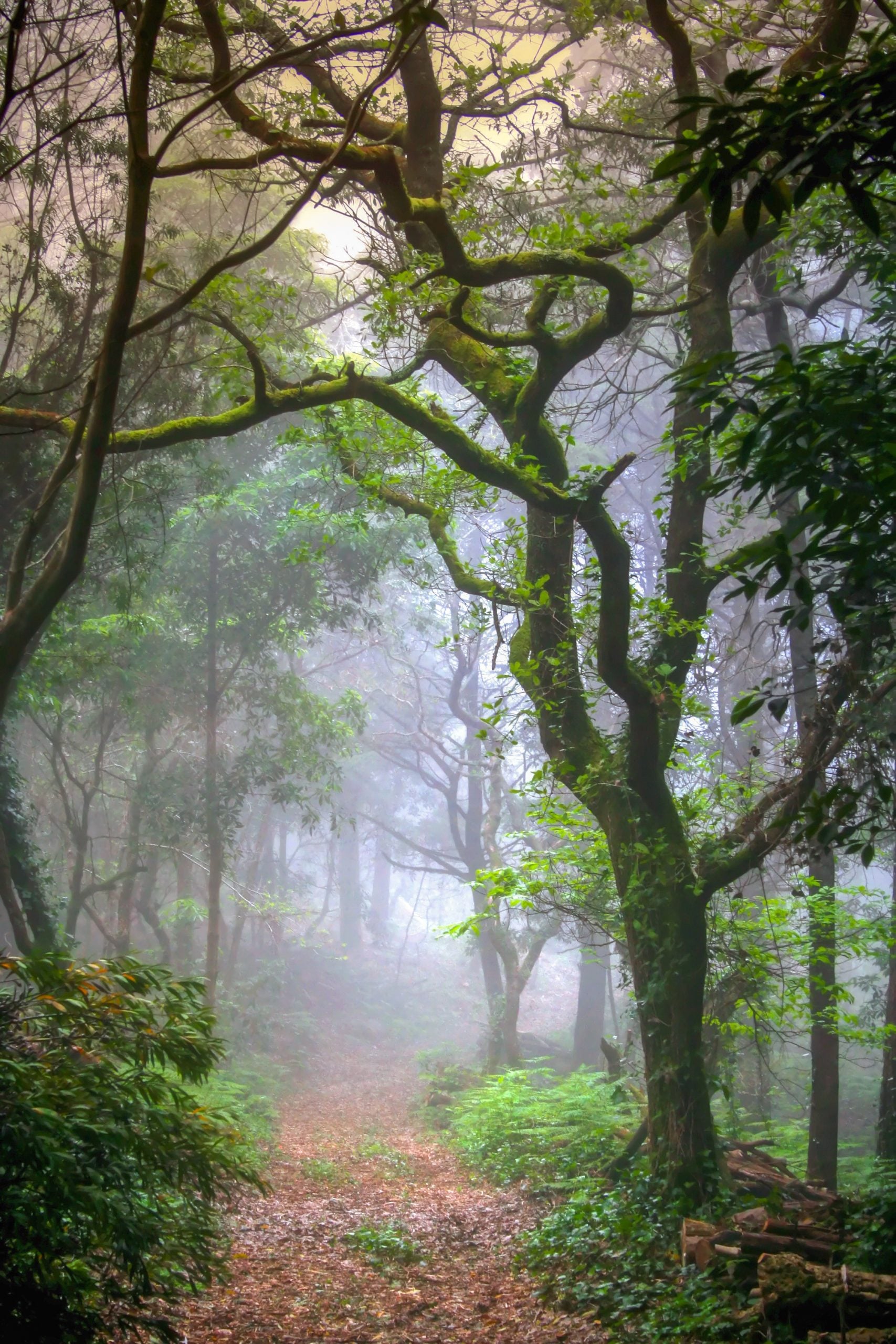 Trip Gallery Image 15