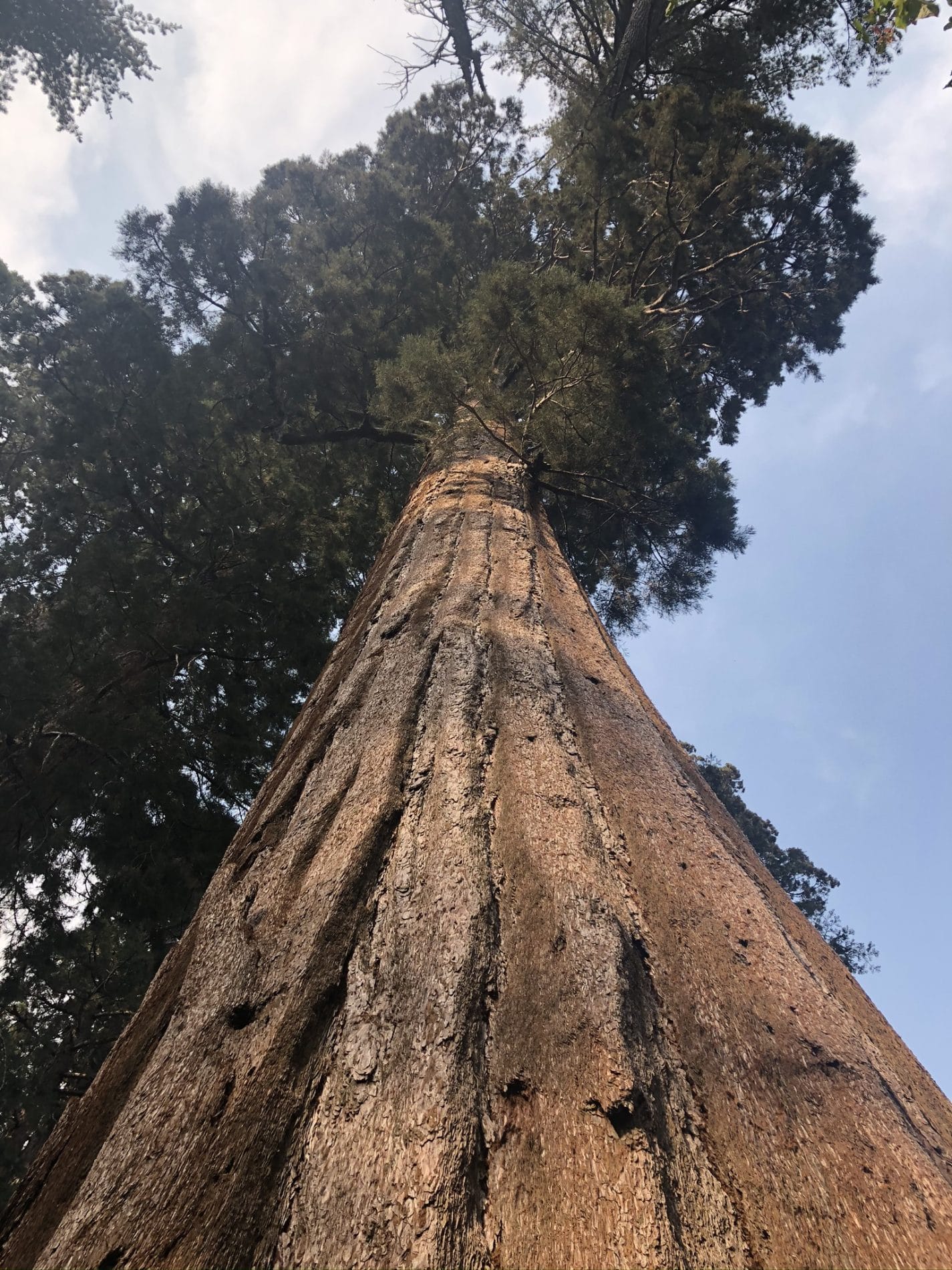 Trip Gallery Image 15