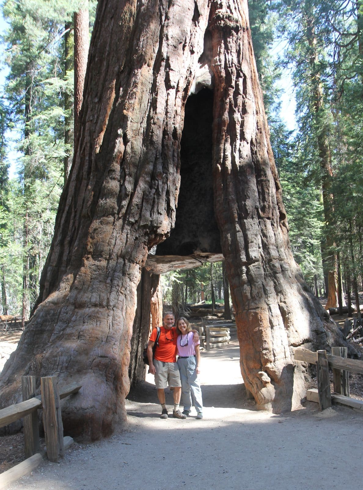 Trip Gallery Image 12