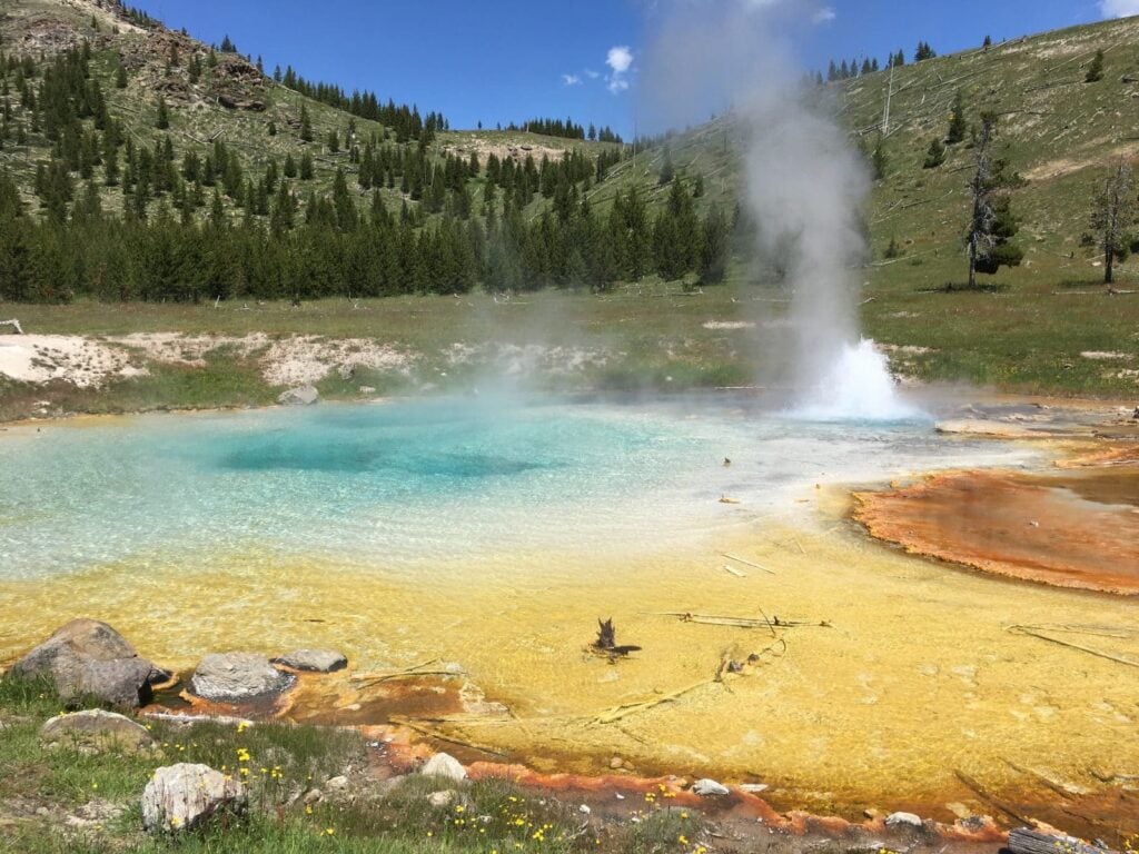 Yellowstone and Grand Teton National Parks Intro Tour