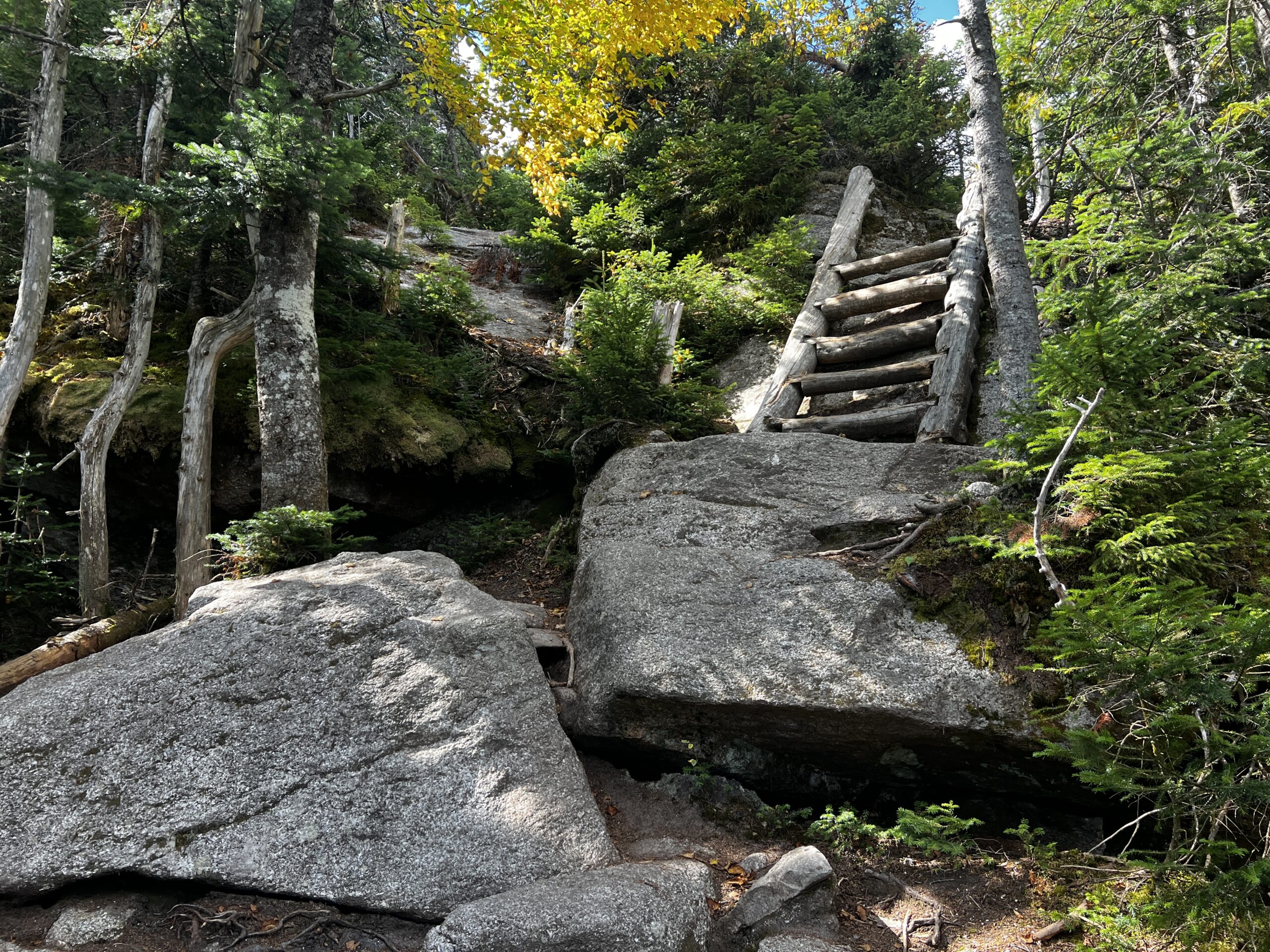 Trip Gallery Image 15