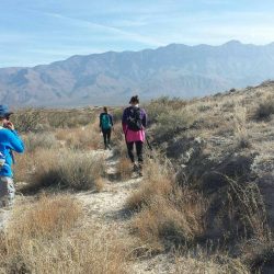 Hiking along Salt Basin Trail in Guadalupe National Park