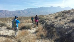 Hiking along Salt Basin Trail in Guadalupe National Park