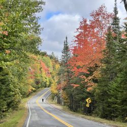 A cyclist enjoys a quiet road with fall colors of the Adirondacks, on the flanks of Whiteface Mountain