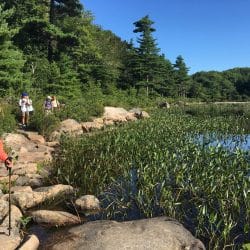 Hikers trek a loop around a pond in Acadia National Park