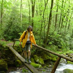 hiker walking over a log bridge