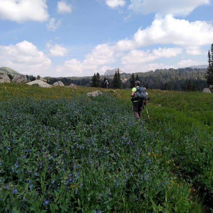 Beartooth Mountains Hiking Tour | Timberline Adventures