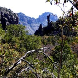 View of Chisos Mountains in Big Bend National Park