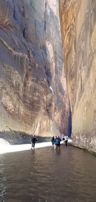 hikers in narrows zion national park