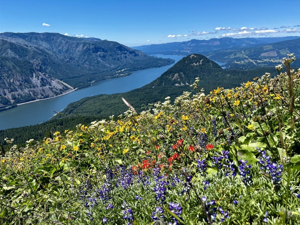 Enjoy our award-winning itinerary along the passage discovered by Lewis and Clark.  This tour climbs to view points on both sides of the river, and ends high up on Mt. Hood at the famous Timberline Lodge.