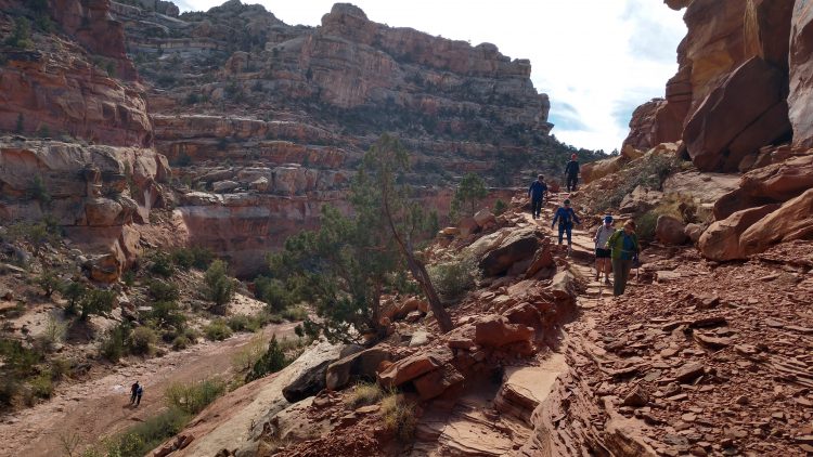 Capitol Reef & Grand Staircase-Escalante